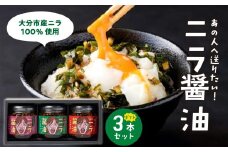 あの人へ送りたい！「必然のニラ醤油」大分市産ニラ100%使用 ギフトボックス 3本セット にら 万能調味料 ギフトセット 薬味 食べ比べ 贈答 辛麺 チャーハン 卵かけご飯 焼肉 K01031
