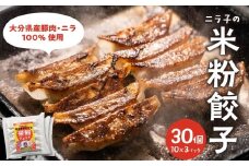 マジでうまい！モチモチすぎるニラ子の米粉ぎょうざ 大分県産豚肉・にら100%使用(ニラ醤油タレ付) 10個入り3パック 米粉 餃子 ギョーザ グルテンフリー もちもち 豚肉 にら ニラ醤油 ヘルシー ニンニク不使用 A02037