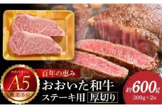 【敬老の日ギフト】百年の恵み おおいた和牛A5 ステーキ用厚切り【厳選部位】約600g《9月15日お届け》 牛肉 和牛 ステーキ 厚切り A5 霜降り 厳選部位 ロース サーロイン 肩ロース A01104-K