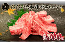 【敬老の日ギフト】厳選A4～A5等級 おおいた和牛 中落ちカルビ 500g《9月15日お届け》 牛肉 黒毛和牛 中落ちカルビ 冷凍 霜降り 赤身 おおいた和牛 焼肉 大分県 ギフト A01133-K