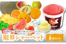 【敬老の日ギフト】限界シャーベット 6個セット《9月15日お届け》水不使用 デザート 味 旬 果物 ジェラート アイス フルーツ 果肉 大分 J06018-K
