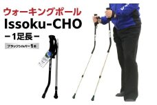 【敬老の日ギフト】ウォーキングポール Issoku-CHO（1足長） ブラックシルバー 1本≪9月15日お届け≫ 杖 歩行補助 特許取得 グッドデザイン賞 アウトドアスポーツ 山登り トレッキング ハイキング 登山 ウォーキング R17007-K