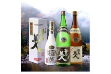 耶馬美人・極蒸セット | 焼酎 米焼酎 麦焼酎 椎茸からし漬け 旭酒造 おつまみセット 大分県 中津市 九州産 