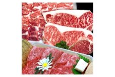 おおいた和牛味わい堪能セット 1.35kg | 和牛 牛肉 すき焼き肉 焼き肉 スライス カルビ ロース ヒレステーキ肉 大分県産 九州産 中津市 豊国畜産ぶんごや 国産 送料無料