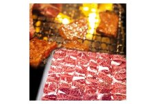 豊後牛おおいた和牛 焼肉用カルビセット 700g | 和牛 牛肉 焼き肉セット 焼肉 大分県ブランド肉 大分県産 九州産 中津市 豊国畜産ぶんごや 国産 送料無料