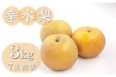 西江豊水園の幸水梨 約3kg ( 7個前後 ) | フルーツ 果物 くだもの 果実 数量限定 旬 完熟梨 梨 なし ナシ 幸水 幸水梨 和梨 3kg 3キロ 新鮮 産地直送 大分県産 九州産 国産 大分県 中津市