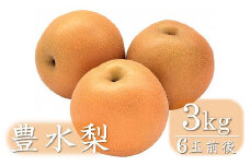 西江豊水園の豊水梨 約3kg ( 6個前後 ) | フルーツ 果物 くだもの 果実 数量限定 旬 完熟梨 梨 なし ナシ 豊水 豊水梨 和梨 3kg 3キロ 新鮮 産地直送 大分県産 九州産 国産 大分県 中津市