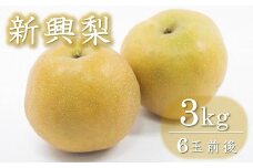 西江豊水園の新興梨 約3kg ( 6個前後 ) | フルーツ 果物 くだもの 果実 数量限定 旬 完熟梨 梨 なし ナシ 新興 新興梨 和梨 3kg 3キロ 新鮮 産地直送 大分県産 九州産 国産 大分県 中津市