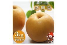 西江豊水園の新興梨 約3kg ( 7個前後 ) | フルーツ 果物 くだもの 果実 数量限定 旬 完熟梨 梨 なし ナシ 新興 新興梨 和梨 3kg 3キロ 新鮮 産地直送 大分県産 九州産 国産 大分県 中津市
