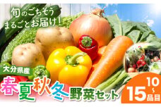 【JA直売所直送】春夏秋冬野菜セット | 野菜 やさい ヤサイ セット 旬 産地直送 大分県産 10～15品 国産野菜 大分県 中津市