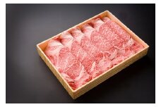 豊後牛 リブロース 鉄板焼用 700g | 厚切りスライス 4等級以上 お肉 肉 おにく にく 牛 牛肉 ロース 豊後牛 鉄板焼き 焼肉 国産 大分県産 冷凍 送料無料 大分県 中津市