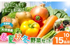 【定期便3回】【JA直売所直送】春夏秋冬野菜セット | 毎月届く 旬野菜 野菜 やさい ヤサイ 旬 国産 国産野菜 定期 定期便 3回 大分県 中津市