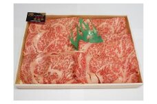 おおいた和牛 リブローススライス 520g | お肉 肉 おにく にく 牛 牛肉 豊後牛 国産牛 和牛 リブロース スライス すき焼き しゃぶしゃぶ 焼肉 焼き肉 赤身肉 冷凍 国産 大分県産 九州産 大分県 中津市