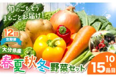 【定期便12回】【JA直売所直送】春夏秋冬野菜セット | 毎月届く 旬野菜 野菜 やさい ヤサイ 旬 セット 国産 国産野菜 定期 定期便 12回 大分県 中津市