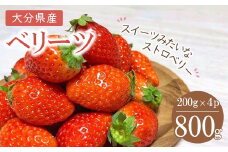 大分県ブランド いちご ベリーツ 約 800g ( 200g×4パック ) | 苺 イチゴ いちご ベリー フルーツ 果物 くだもの 大分県産 産地直送 九州産 国産 大分県 中津市