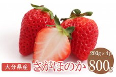 大分県産いちご さがほのか 約 800g ( 200g×4パック ) | 苺 イチゴ いちご ベリー フルーツ 果物 くだもの 九州産 大分県産 国産 産地直送 大分県 中津市