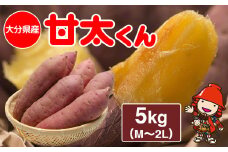 大分県産 かんしょ 甘太くん 約 5kg  M・L・2L | さつまいも さつま芋 サツマイモ 芋 いも 紅はるか べにはるか 焼き芋 おやつ ブランド 九州産 国産 大分県 中津市