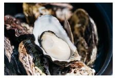【期間・数量限定】【CAS凍結】ひがた美人殻付き30粒 | 生食可 ブランド牡蠣 殻付き かき カキ 牡蠣 海鮮 貝 カキフライ 牡蠣のグラタン 大分県 中津市