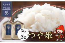 【寄附使途限定】九州米・食味コンクール最優秀賞受賞 大分県中津市産 やまくに誉 つや姫 5kg×2袋 | お米 米 おこめ こめ 精米 白米 10kg 10キロ ご飯 九州産 国産 国産米 大分県米 九州米 大分県 中津市