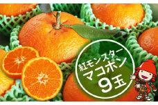 【数量限定】 紅モンスター マコポン9玉 | フルーツ 果物 くだもの 果実 柑橘 柑橘類 まこぽん マコポン オレンジ ゼリーオレンジ 不知火 国産 中津市産 産地直送 大分県 中津市