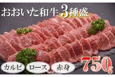 おおいた和牛 3種盛 カルビ ロース 赤身 合計750g （250g×3） | 豊後牛 焼肉 焼き肉 肉質 4等級以上 小分け お肉 肉 おにく にく 牛 牛肉 和牛 国産 九州産 大分県産 冷凍 大分県 中津市 送料無料