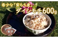 山々と源流の山国町「nakano麦園」の希少な『紫もち麦』ダイシモチ300g×2袋 | 600g 600グラム 紫もち麦 もち麦 麦 ダイシモチ 紫麦 雑穀 穀物 希少 国産 麦ご飯 大分県 中津市