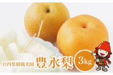 【先行予約】【数量限定】 宮内果樹観光園の豊水梨 約3kg | フルーツ 果物 くだもの 梨 なし ナシ 豊水 豊水梨 産地直送 大分県 中津市