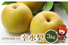 【先行予約】【数量限定】宮内果樹観光園の幸水梨 約3kg | フルーツ 果物 くだもの 梨 なし ナシ 幸水 幸水梨 産地直送 大分県 中津市