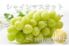 【先行予約】【数量限定】宮内果樹観光園のシャインマスカット 約1kg 2房前後 | フルーツ 果物 くだもの ぶどう ブドウ 葡萄 シャインマスカット マスカット 産地直送 大分県 中津市