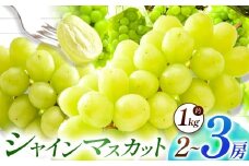 【数量限定】宮内果樹観光園のシャインマスカット 約1kg 2房前後 | フルーツ 果物 くだもの ぶどう ブドウ 葡萄 シャインマスカット マスカット 産地直送 大分県 中津市