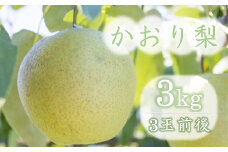 西江豊水園のかおり梨 約3kg ( 3個前後 ) | フルーツ 果物 くだもの 果実 数量限定 旬 完熟梨 梨 なし ナシ かおり かおり梨 和梨 3kg 3キロ 新鮮 産地直送 大分県産 九州産 国産 大分県 中津市