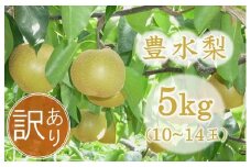 【先行予約】【訳あり】大内農園の源流山育ち 完熟 豊水梨 約5kg【数量・期間限定】 | フルーツ 果物 くだもの 梨 なし ナシ 和梨 豊水 5kg 5キロ 訳あり 大内農園 国産 大分県 中津市