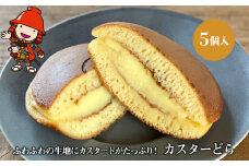 【数量限定】カスターどら 5個入 | 中津菓子かねい  冷凍発送 カスタードどら焼き どら焼き 焼き菓子 お菓子 菓子 おやつ カスタードスイーツ スイーツ 洋菓子