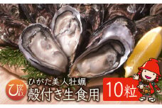 【数量限定】【CAS凍結】ひがた美人殻付き10粒 | 牡蠣 国産 ひがた美人 生食可 生牡蠣 ブランド牡蠣 カキ かき 海鮮 海 海の幸 大分県 中津市