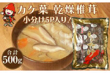 乾燥椎茸 カケ葉 椎茸 100g×5パック | 乾しいたけ 干し椎茸 干ししいたけ 乾燥しいたけ 干しシイタケ 原木 大分県産 九州産 中津市 国産 送料無料