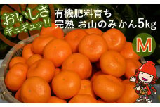 【先行予約】【数量限定】大久保農場の有機肥料育ち完熟  お山のみかん 5kg(M)+3個 (傷み補償分) | フルーツ 果物 くだもの 蜜柑 ミカン みかん 柑橘 柑橘類 温州みかん 産地直送 国産 大分県 中津市
