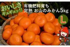 【先行予約】【数量限定】大久保農場の有機肥料育ち完熟  お山のみかん 5kg(L)+3個 (傷み補償分) | フルーツ 果物 くだもの 蜜柑 ミカン みかん 柑橘 柑橘類 温州みかん 産地直送 国産 大分県 中津市