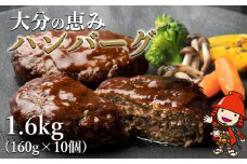 大分の恵みハンバーグ 1.6kg (160g×10個)  | 牛肉 豚肉 ハンバーグ 弁当 惣菜 冷凍 共通返礼品 中津市 豊後高田市 日出町 佐伯市 杵築市 竹田市 国東市 大分市 送料無料