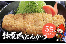 錦雲豚 とんかつ5枚セット ロース肉 1枚130g×5枚 岩塩付き | お肉 肉 おにく にく 豚 豚肉 ロース トンカツ 豚かつ とんかつ ロースかつ 衣付き 冷凍食品 おかず お惣菜 惣菜 お弁当 弁当 国産 大分県 中津市