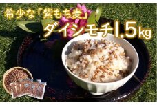 山々と源流の山国町「nakano麦園」の希少な『紫もち麦』ダイシモチ300g×5袋 |  紫もち麦 もち麦 麦 ダイシモチ 紫麦 雑穀 穀物 希少 国産 麦ご飯 1500g 1500グラム 1.5kg 1.5キロ 大分県 中津市