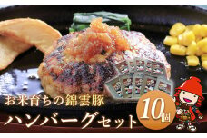 錦雲豚ハンバーグ 10個セット （100g×10個） | 惣菜 おかず 弁当 豚肉 国産 九州産 大分県産 ブランド豚 豚 錦雲豚 冷凍 小分け 送料無料