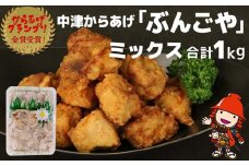 中津からあげ ぶんごや 骨なし 500g×2個 | 家庭調理 中津からあげ 唐揚げ からあげ から揚げ 弁当 おかず お惣菜 おつまみ 大分県 中津市