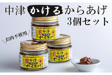 元祖中津かけるからあげ 100g×3個入 | 中津の味 かけるからあげ おかず 調味料 低カロリー 大豆 大豆肉 高たんぱく 大分県 中津市