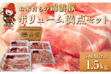 ボリューム満点 錦雲豚 ブランド肉 5種類 合計1.5kg | お肉 肉 おにく にく 豚 豚肉 セット ロース バラ肉 もも うで ミンチ 詰め合わせ ブランド豚 国産豚 ポーク 九州産 国産 冷凍 送料無料 大分県 中津市