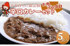 錦雲豚カレー辛口 たっぷり 5食 セット | レトルトカレー レトルト 惣菜 おかず 国産 九州産 大分県産 中津市 ブランド豚 豚肉 送料無料