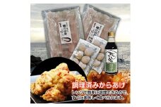 中津名物2大横綱セット | 中津からあげ 鱧 かぼすポン酢 特産 名物 