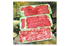 耶馬溪ジビエセット | 鹿肉しゃぶ用3点（ロース・バラ・モモ）合計600g 耶馬の天然食工房 しゃぶしゃぶ肉 大分県産 九州産 国産 冷凍 送料無料