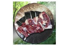 耶馬溪すっぽん レシピ付き すっぽん生肉300g | すっぽん料理 スッポン スッポン鍋 大分県産 九州産 中津市 耶馬渓すっぽん 国産 送料無料