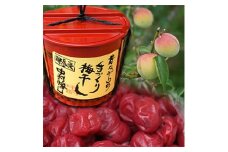 耶馬溪昔ながらの手づくり梅干し 中村梅園 | 自家製シソ こだわり 