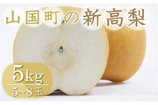 【先行予約】【数量限定】山国町の新高梨 約5kg | フルーツ 果物 くだもの 梨 ナシ なし 新高 新高梨 和梨  5kg 5キロ 完熟 国産 産地直送 山国梨棚 森澤梨園 大分県産 大分県 中津市